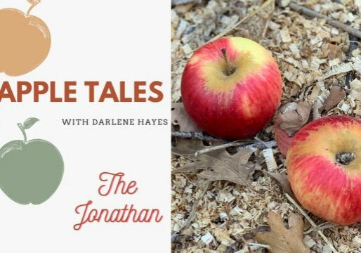 AppleTales_TheJonathan_Web