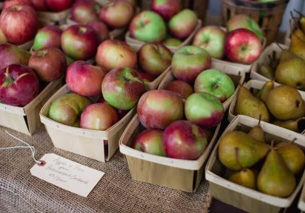Credit: Alexandra Whitney Photography
Tags: Apples, Cider