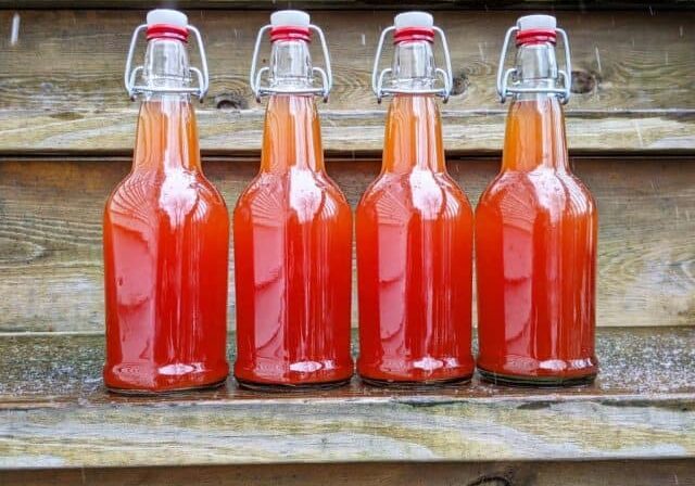 Getting to Know Cache Cider