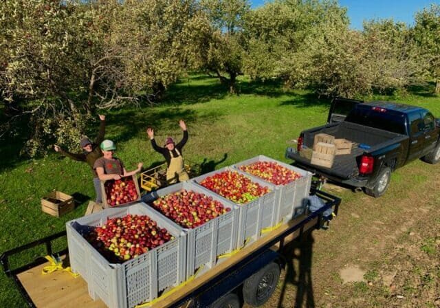 Brix Cider: A Full Circle Approach