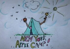 374: NY Apple Camp News!