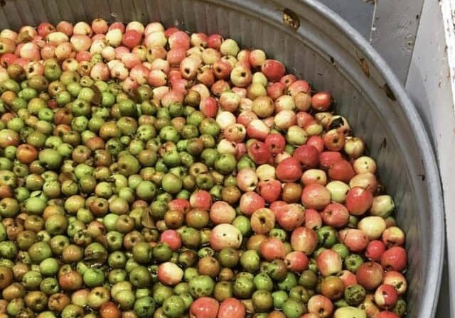 PDX Apple Recycling