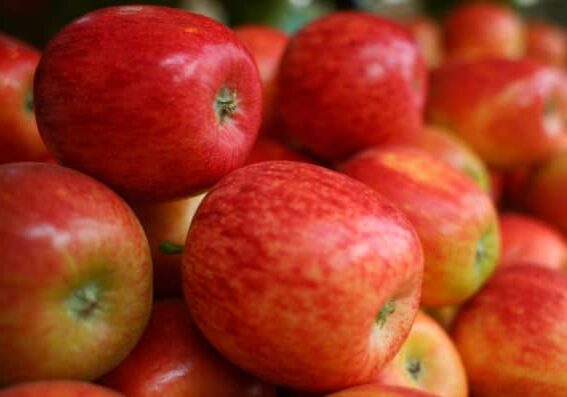 Photo credit: BigStock; Tags: apples, apple, red apples 