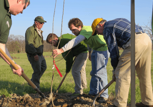 Photo credit: Gettysburg Foundation; Tags: orchard, Seedling to Cider Project 