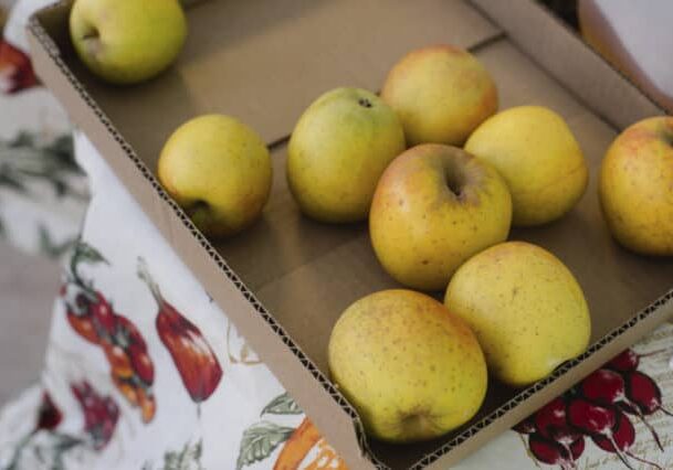 Credit: Alexandra Whitney Photography
Tags: cider, cider apples, box of apples