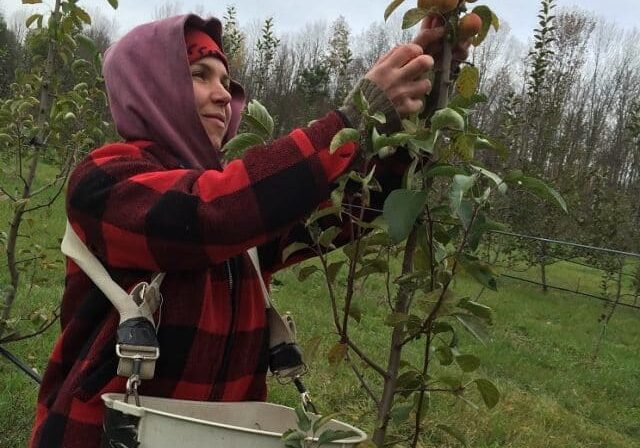 autumn picking crabs profile feat