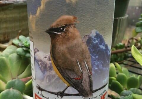 Along Came a Cider