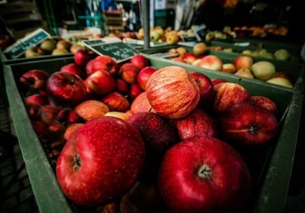 DIY Cider Making