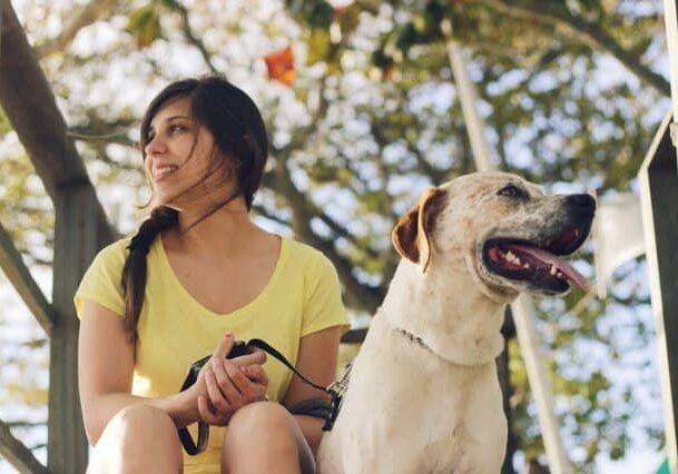 dog-friendly cideries